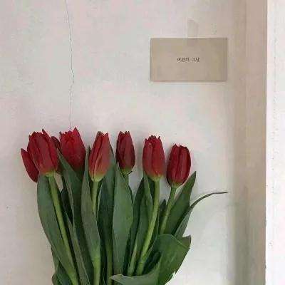 风华诀满v版下载