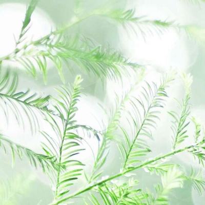 一游网永恒奇迹手游下载